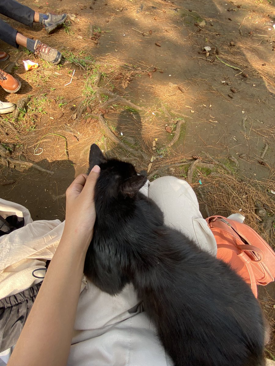 piw ꪆৎ tweet media