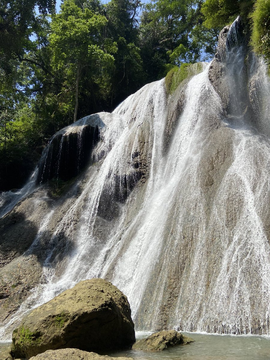 piw ꪆৎ tweet media