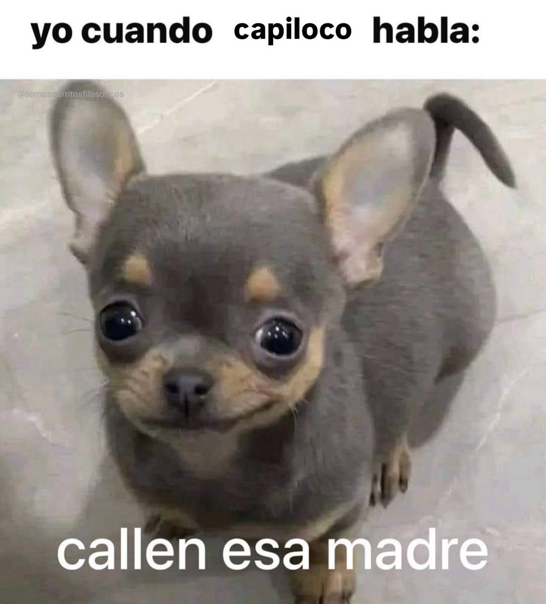 niniseat's tweet photo. capiloco con sus mentiras 💔 https://t.co/CuRxRKuWvt