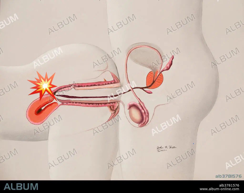 250818 
우리모니 A스팟 찔러주면 겁나 좋아해요!
초대 오시는분들 📌 TIP입니다😆