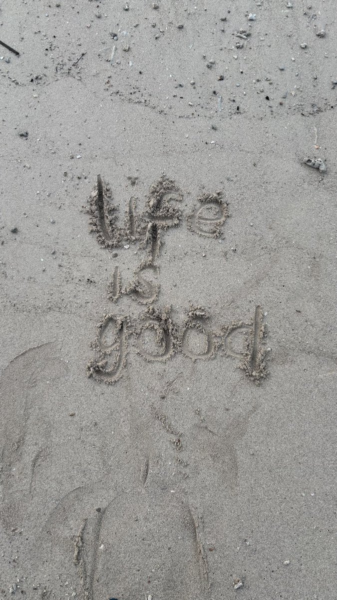 nooosshi's tweet image. ˖°𓇼🌊⋆🐚🫧