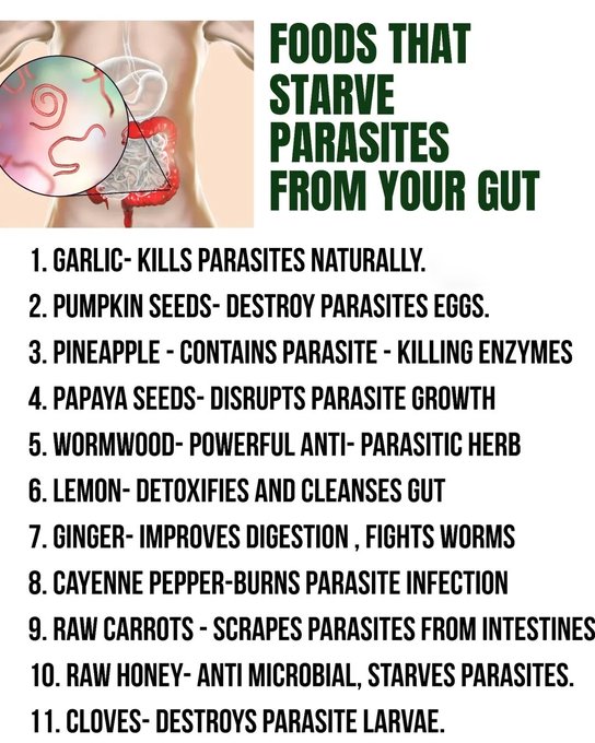 Foods that naturally starve parasites from your gut! Garlic, pumpkin seeds, pineapple, and more.