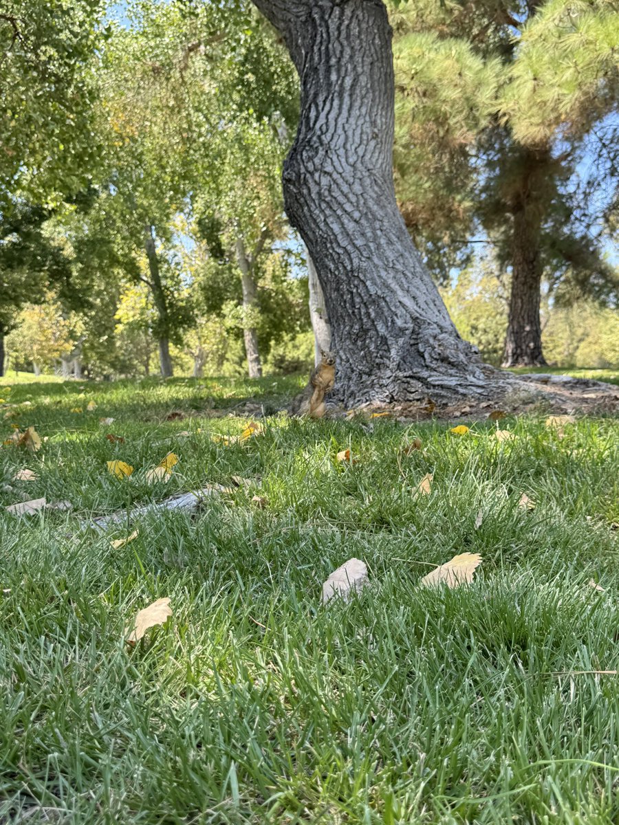 beautiful sunny sunday.