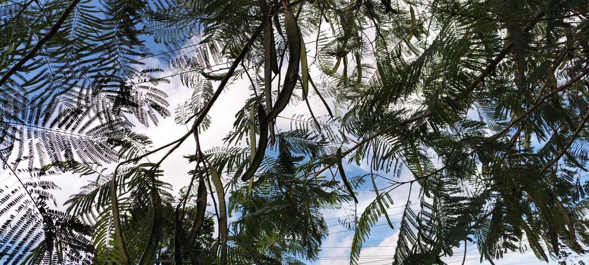 Climate_Allies's tweet photo. Let's love & project #nature!
#WeACT https://t.co/6rSeaCqWn9