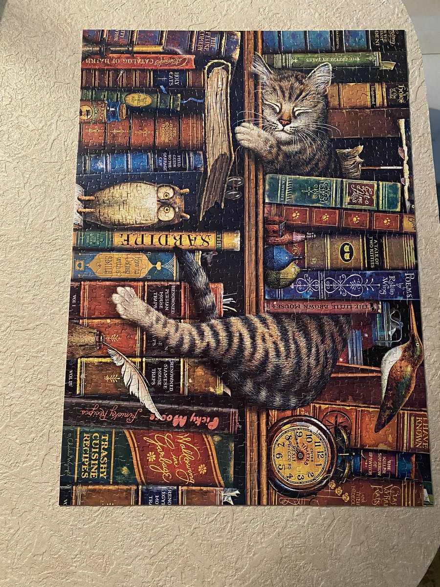 استقبل التباريك ركبت اليوم الاخيره 
❤️