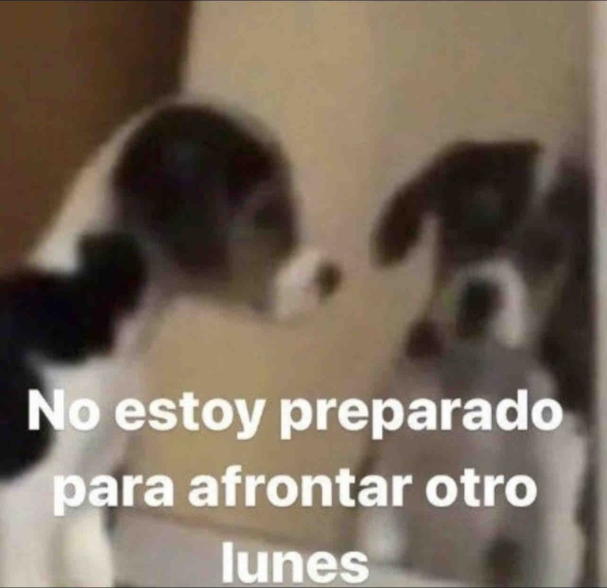 Guarromantico_'s tweet photo. No estoy. https://t.co/C1seOIUHbE
