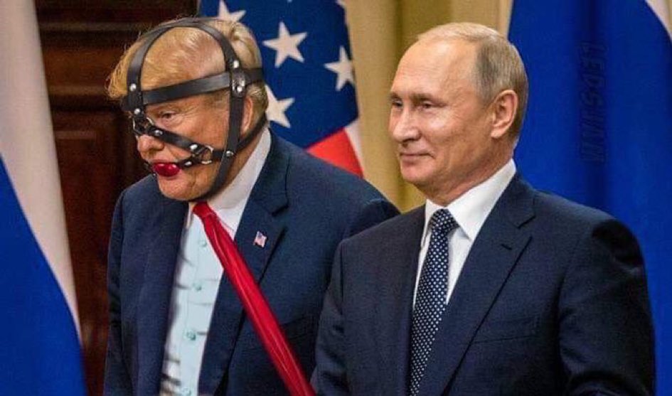 WELL DONE IN ALASKA, MY LOYAL ORANGE DOG