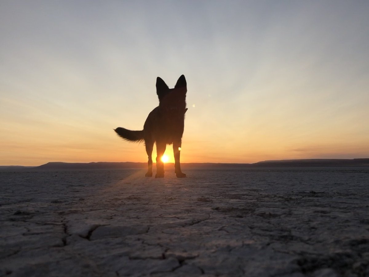 This one saved my life