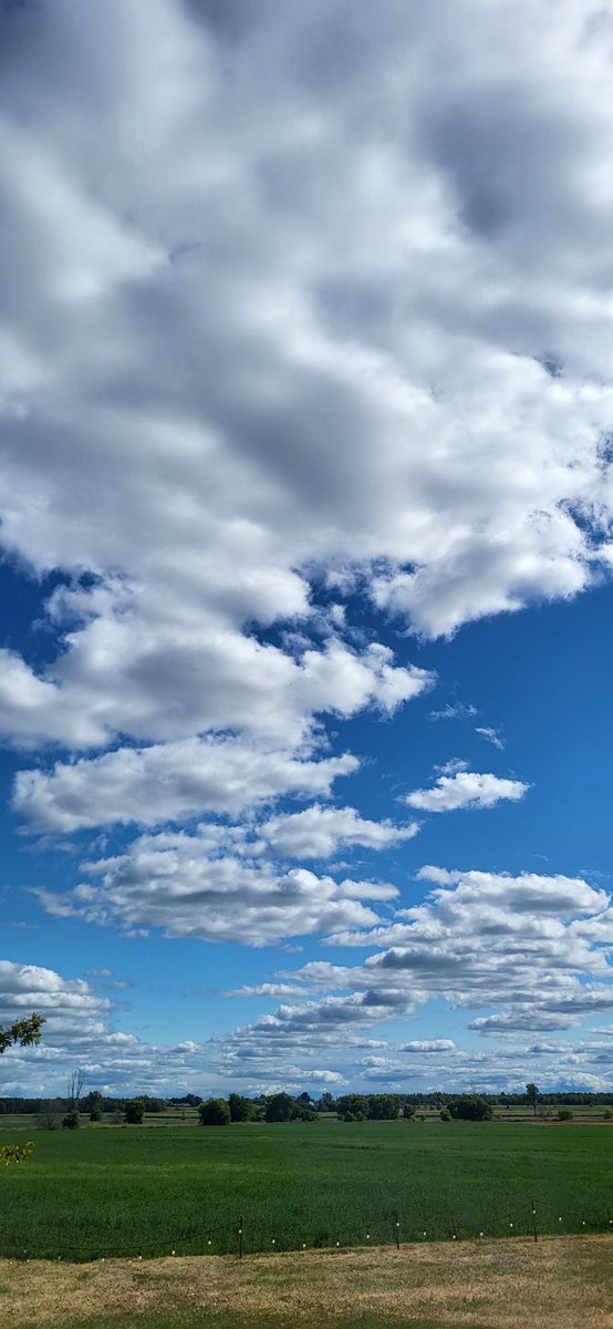When the weather turned nice today, I went and picked up my Mom and drove out to Domaine Perrault Winery in Navan. A beautiful afternoon.