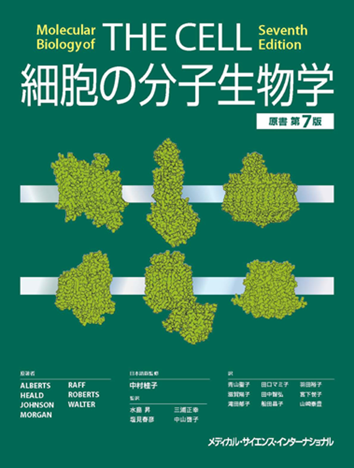 Molecular Biology（分子生物学）～海外医学部を６年で卒業プロ～ Amazon.co.jp: ブル−ス・アルバ−ツ: 本、バイオグラフィー
