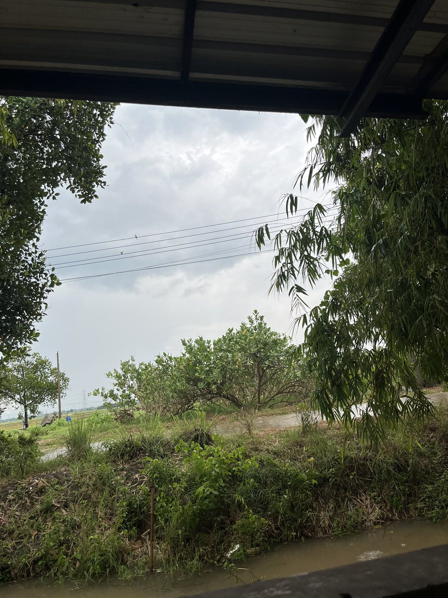 ฝนตกอากาศดีท่าวุ้ง