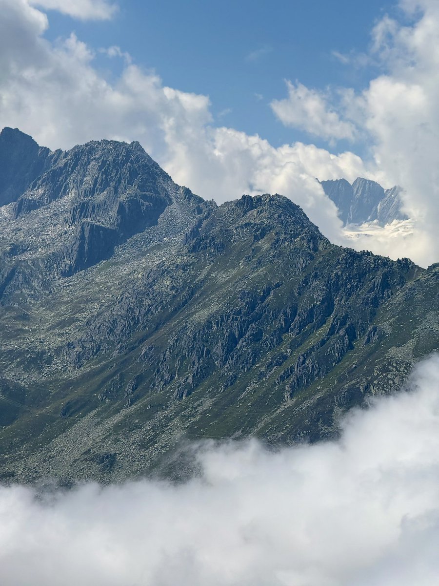 TheSwissPath.com tweet media
