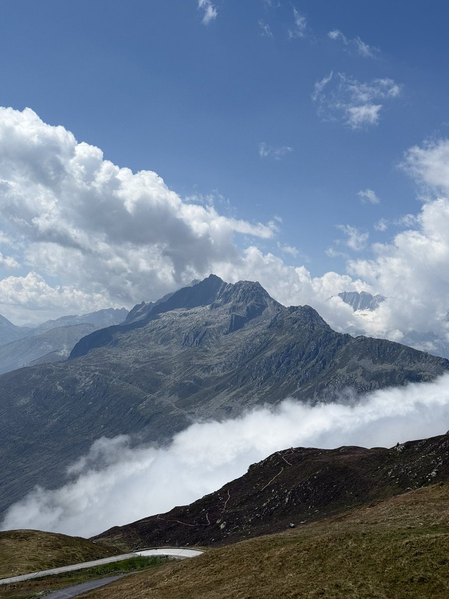 TheSwissPath.com tweet media