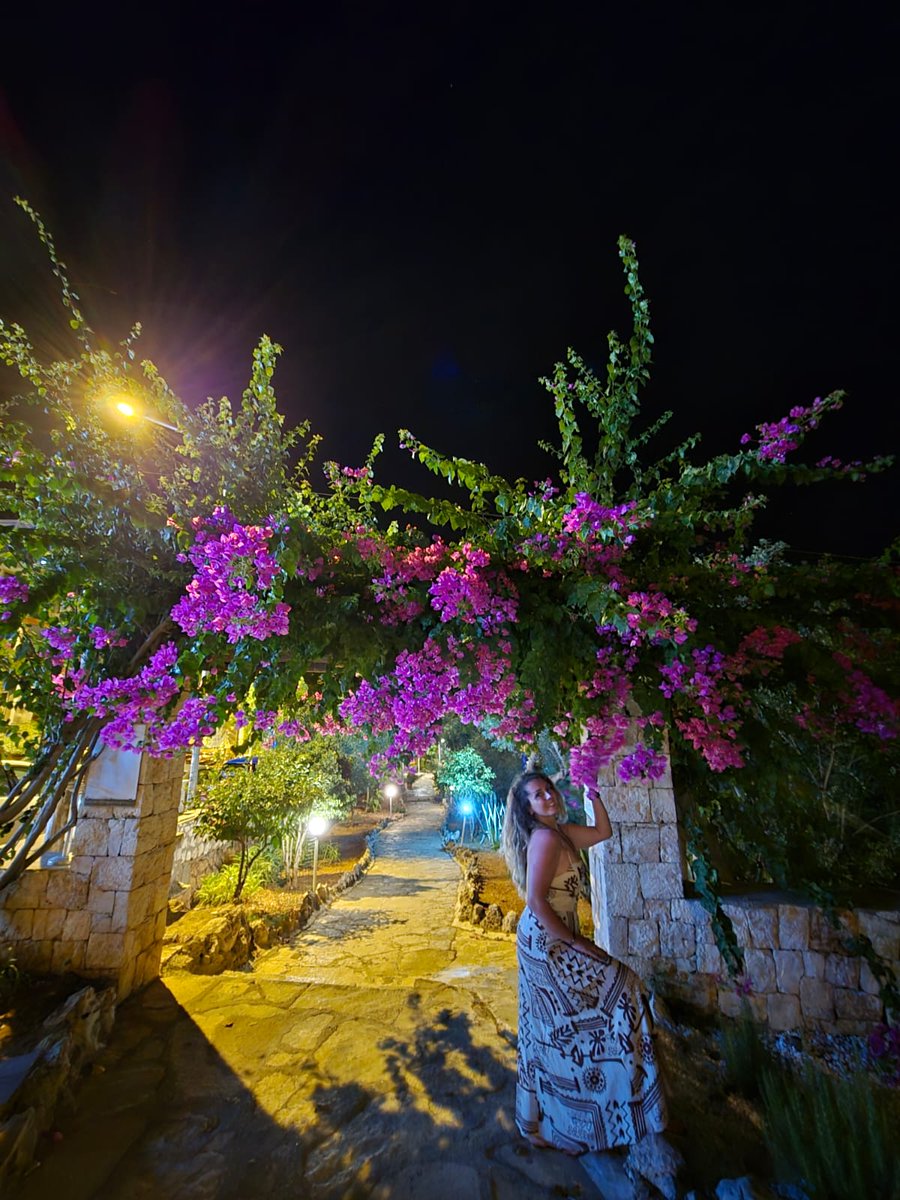 Kübra Gürsoy (@kgursoy24162) on Twitter photo 