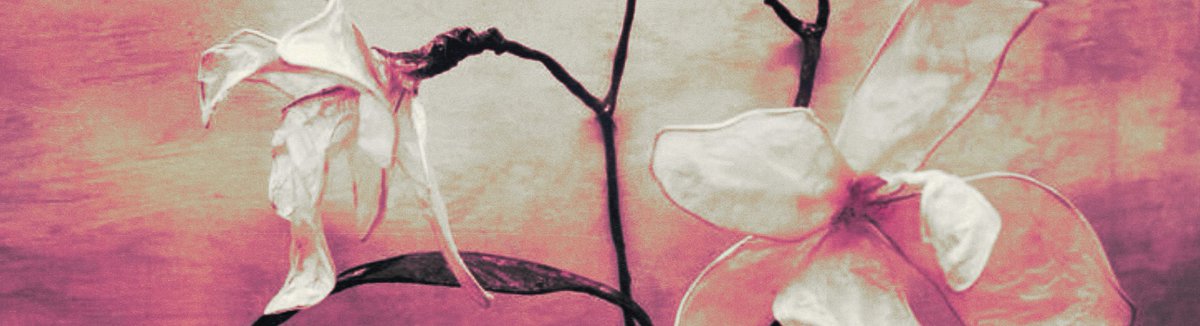 ⠀
⠀𝐊𝐀𝐏𝐀𝐍⠀⠀⠀𝐒𝐄𝐌𝐏𝐔𝐑𝐍𝐀𝐍𝐘𝐀⠀⠀．．．
⠀𝗁𝖾𝖺𝖽𝖼𝖺𝗇𝗈𝗇𝗌 + 𝗆𝖾𝖽𝗂𝖺⠀．𝐏𝐄𝐍𝐂𝐀𝐑𝐈𝐀𝐍𝐌𝐔
⠀