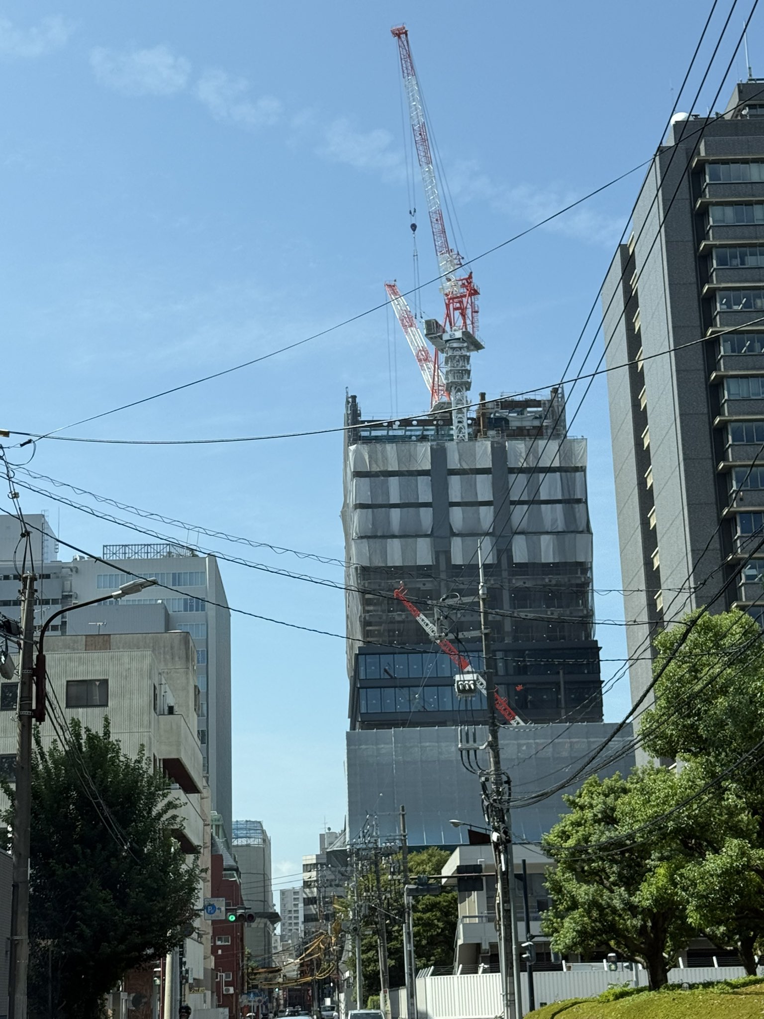 ゴンザレス on X: 