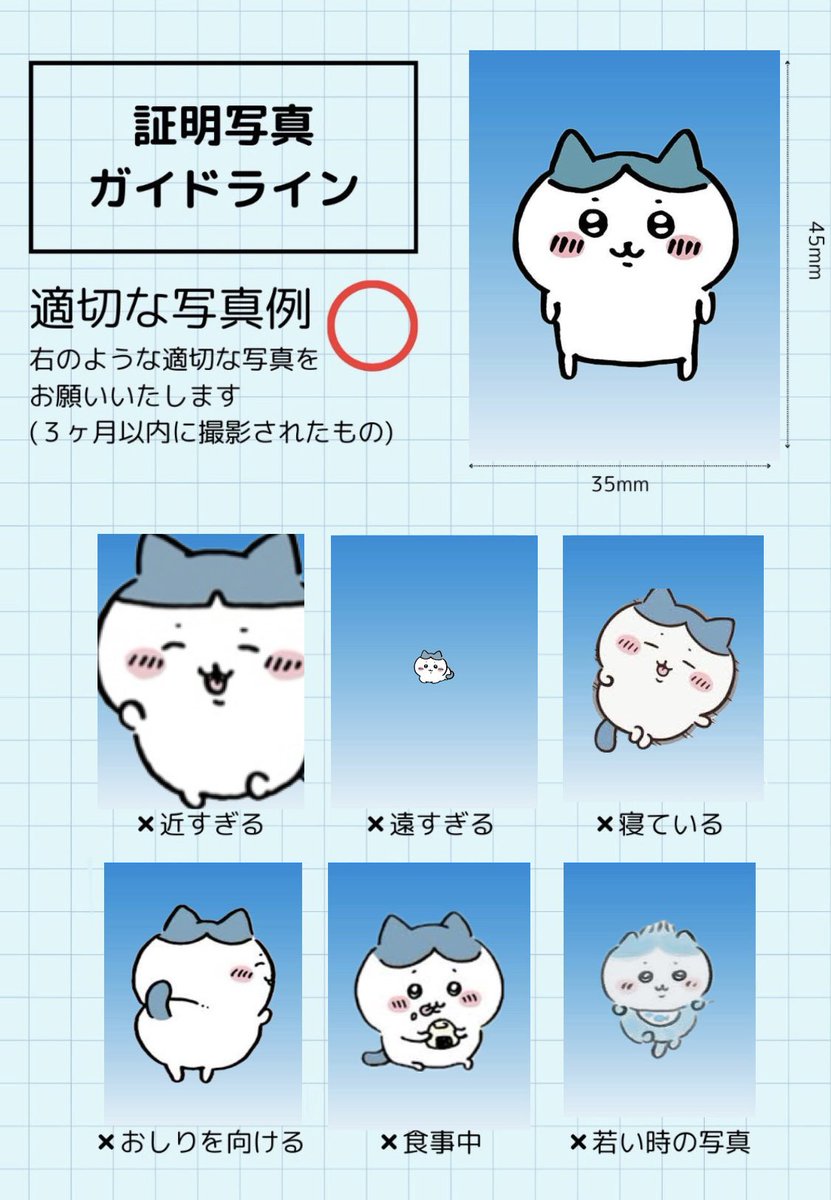 『証明写真ガイドライン』
ずっとつくってみたかったやつ