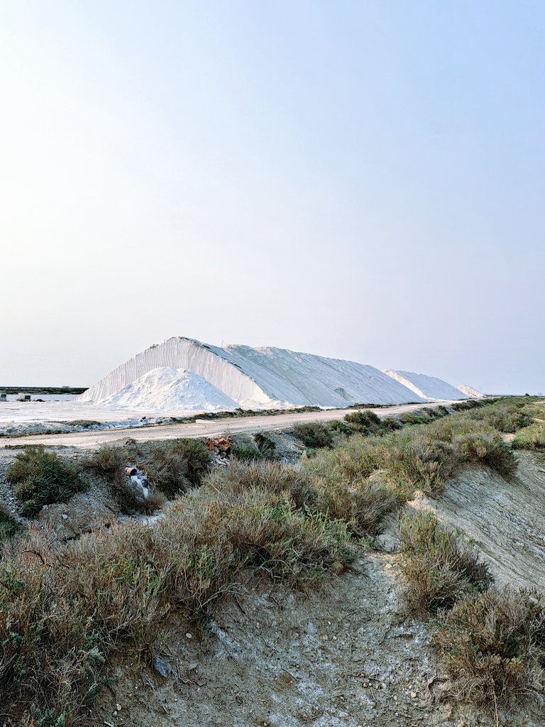 dansle11's tweet photo. La production des salins de Gruissan (#Aude) remonte à l'époque romaine. L’exploitation des salins sous leur forme actuelle a débuté en 1911, sur une surface d’environ 350 hectares. Dans les années 1970, elle faisait vivre une trentaine de familles.
https://t.co/9woTI1cf6B https://t.co/FRwPkUoM2r