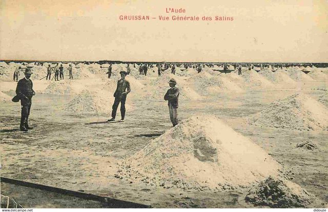 La production des salins de Gruissan (#Aude) remonte à l'époque romaine. L’exploitation des salins sous leur forme actuelle a débuté en 1911, sur une surface d’environ 350 hectares. Dans les années 1970, elle faisait vivre une trentaine de familles.
lesalindegruissan.fr/content/9-ecom…