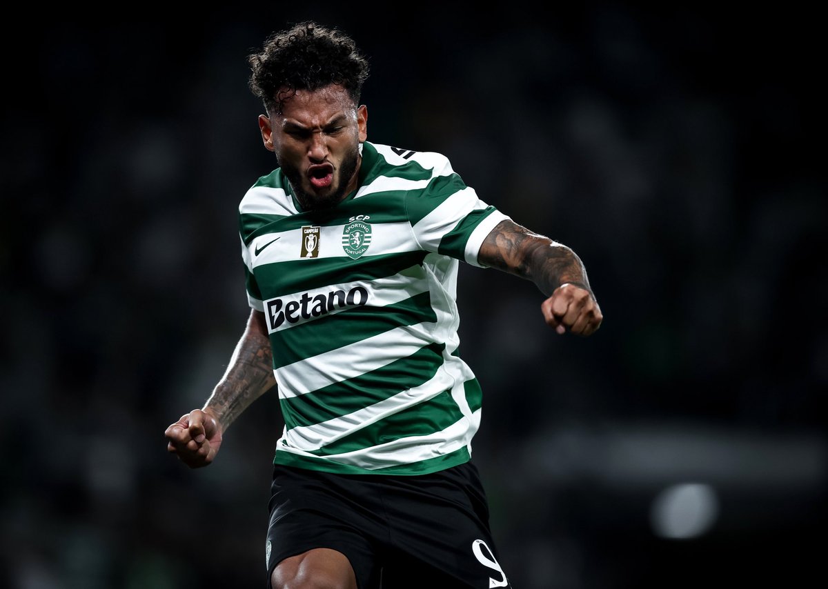 SportingCP's tweet photo. Noite incrível no regresso a casa ✨

Obrigado pelo vosso apoio, Sportinguistas 💚 https://t.co/WC9V5WAzKm