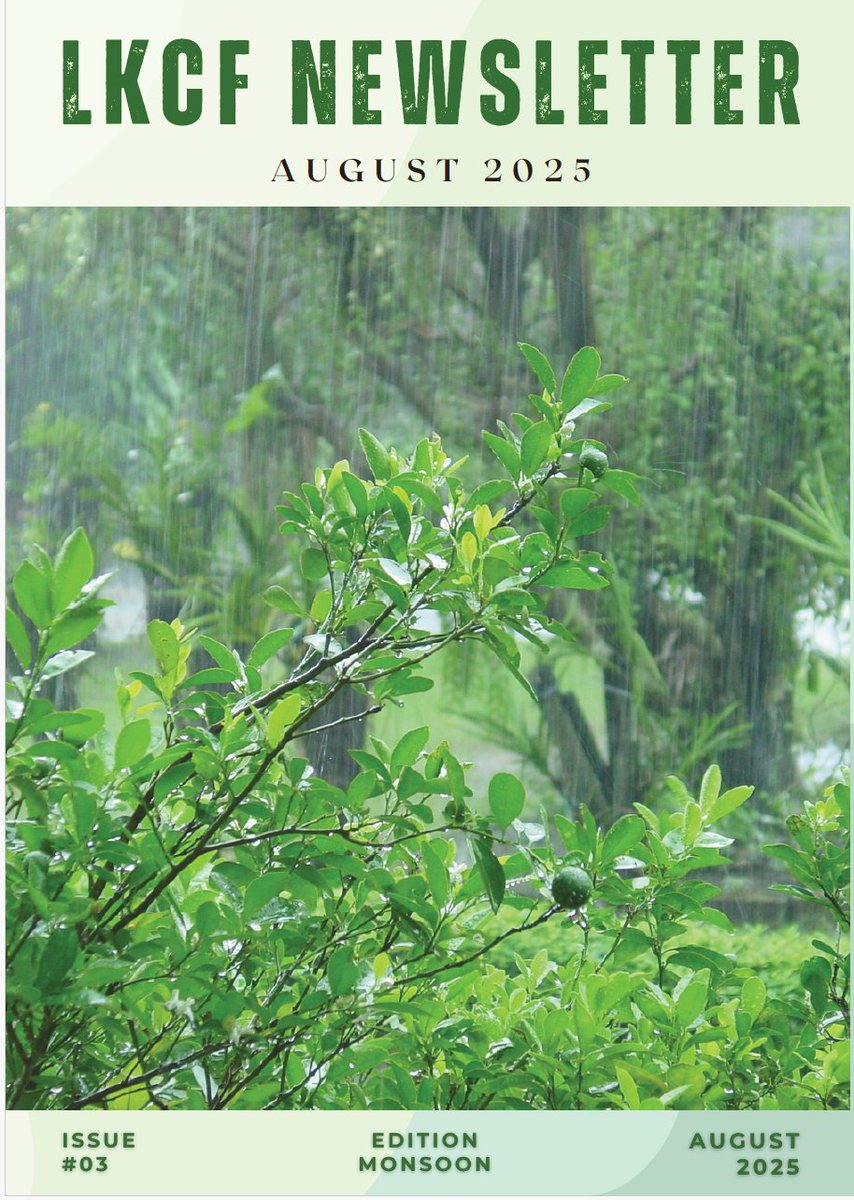 LonavalaForum's tweet photo. The August 25 - Monsoon edition of the LKCF newsletter is here.  Click to view : https://t.co/e16guOT5f4

#Lonavla #khandala #citizenforum #GreenCity #sustainableLiving #citizensmovement https://t.co/Jp959EMTlp