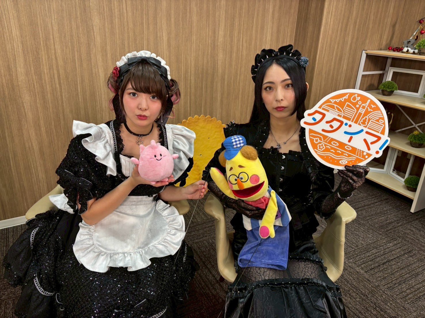 サスケさん専用です 何者!?】インフルエンサー 髭達磨 荒川太一SASUKE挑戦