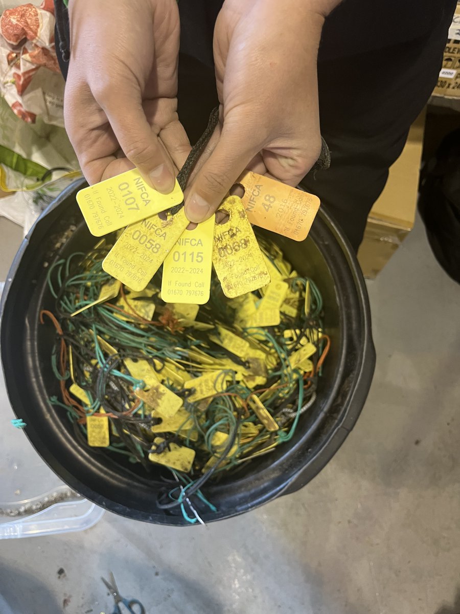 📢WE HAVE OUR WINNERS 📢

Thanks to everyone who returned their old NIFCA tags .
5 fishers have each won a £100 fuel voucher ⛽️💷

Every tag will be  ♻️ #recycled.

#NIFCA #Raffle #Winners #Recycling #sustainability
🦀🦞🐟