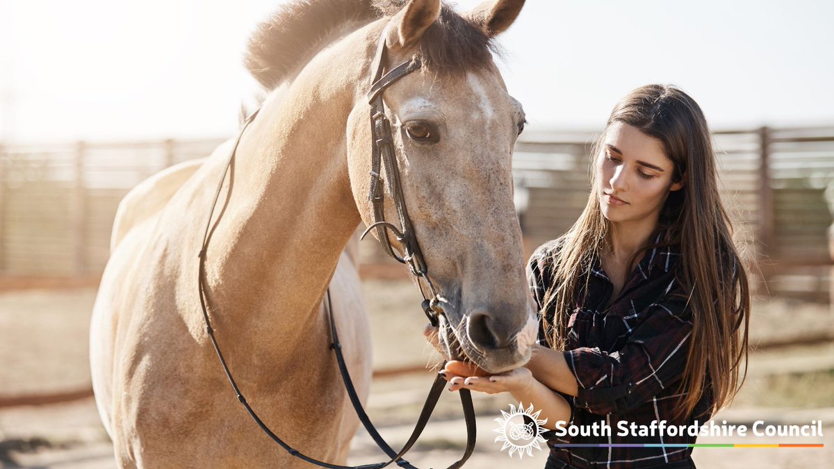 Thinking about riding lessons this summer? 🐴 Always check the riding school is licensed!

A valid licence means trained staff, safer facilities, cared-for horses &amp; legal compliance.

Ride safe. Choose licensed.

More info 👉 sstaffs.gov.uk/licensing-and-…

#RideSafe #AnimalWelfare