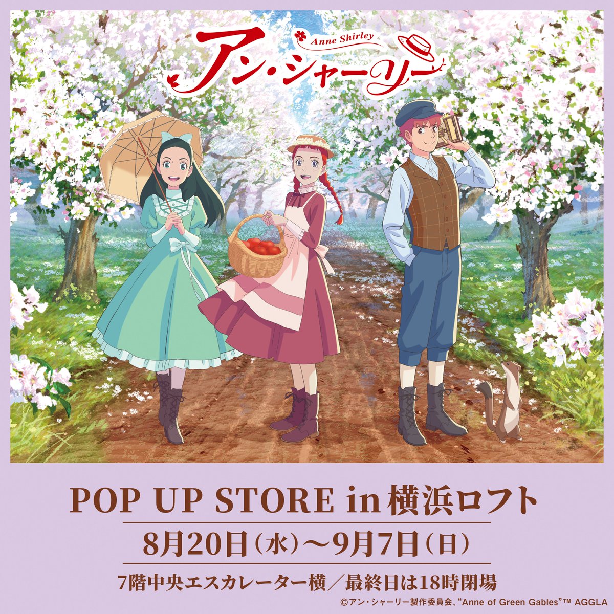 ann_POPUP's tweet photo. 🌼横浜ロフト 明日スタート🌼

「アニメ『#アン・シャーリー』POP UP STORE in 横浜ロフト」は、いよいよ明日8/20（水）スタート✨

アン・ギルバート・ダイアナのビッグパネルや厳選した場面写パネルの展示も。
みなさまのお越しをお待ちしております！

詳細▶https://t.co/DAW918GQJB https://t.co/qWjkBXyqp9