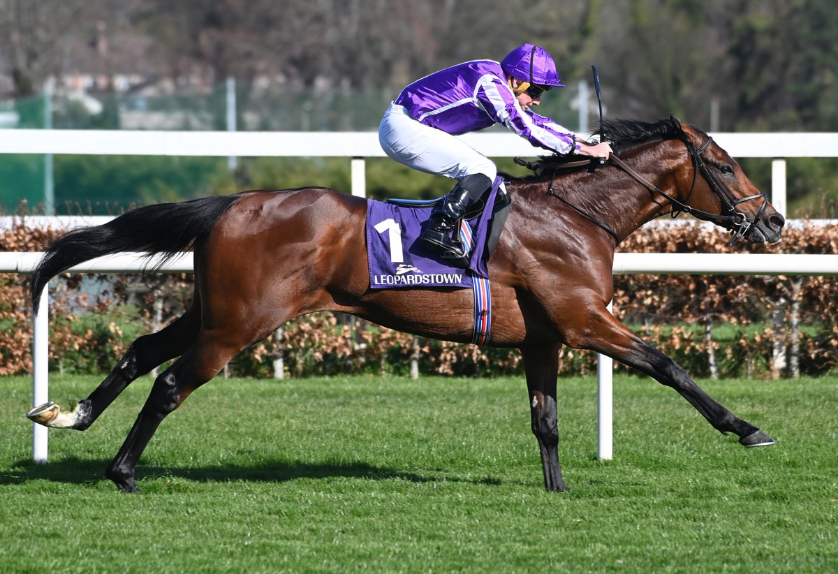 Six runners set to battle out Wednesday's Juddmonte International 👊

🇫🇷Birr Castle 
🇯🇵Danon Decile
🇫🇷Daryz
🇮🇪Delacroix 
🇬🇧Ombudsman
🇬🇧See The Fire