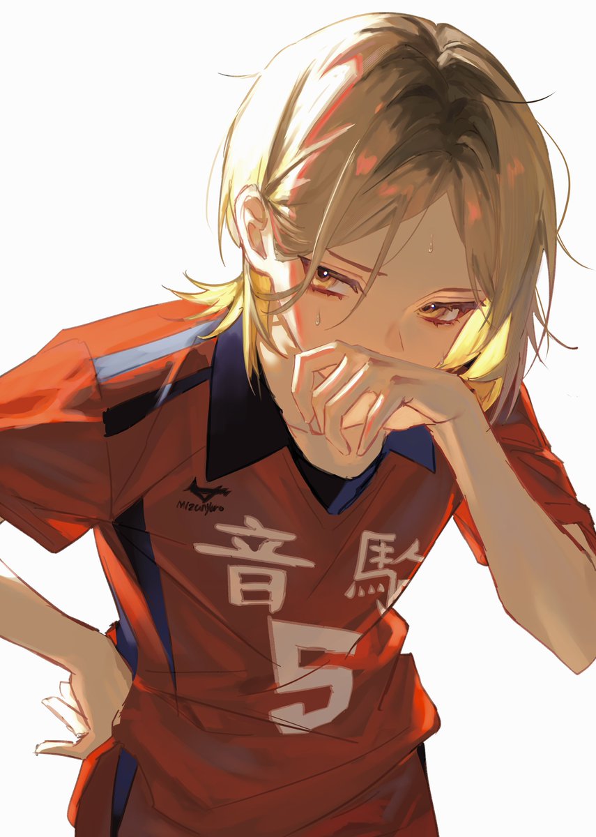 ナ*ツ様 ハイキュー（10-28.31-45）+他 ナ*ツ様 ハイキュー（10-28.31-45）+他 ハイキュー!! TO THE TOP