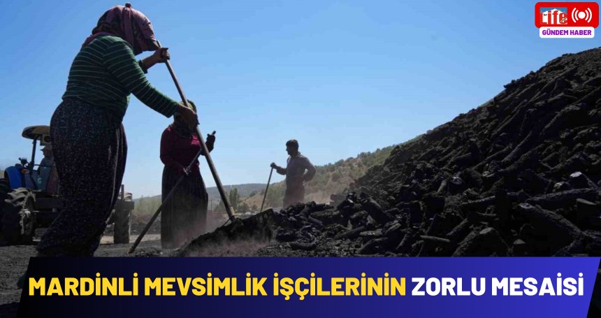 Mardinli mevsimlik işçilerinin zorlu mesaisi
mardinlife.com/yasam/mardinli…