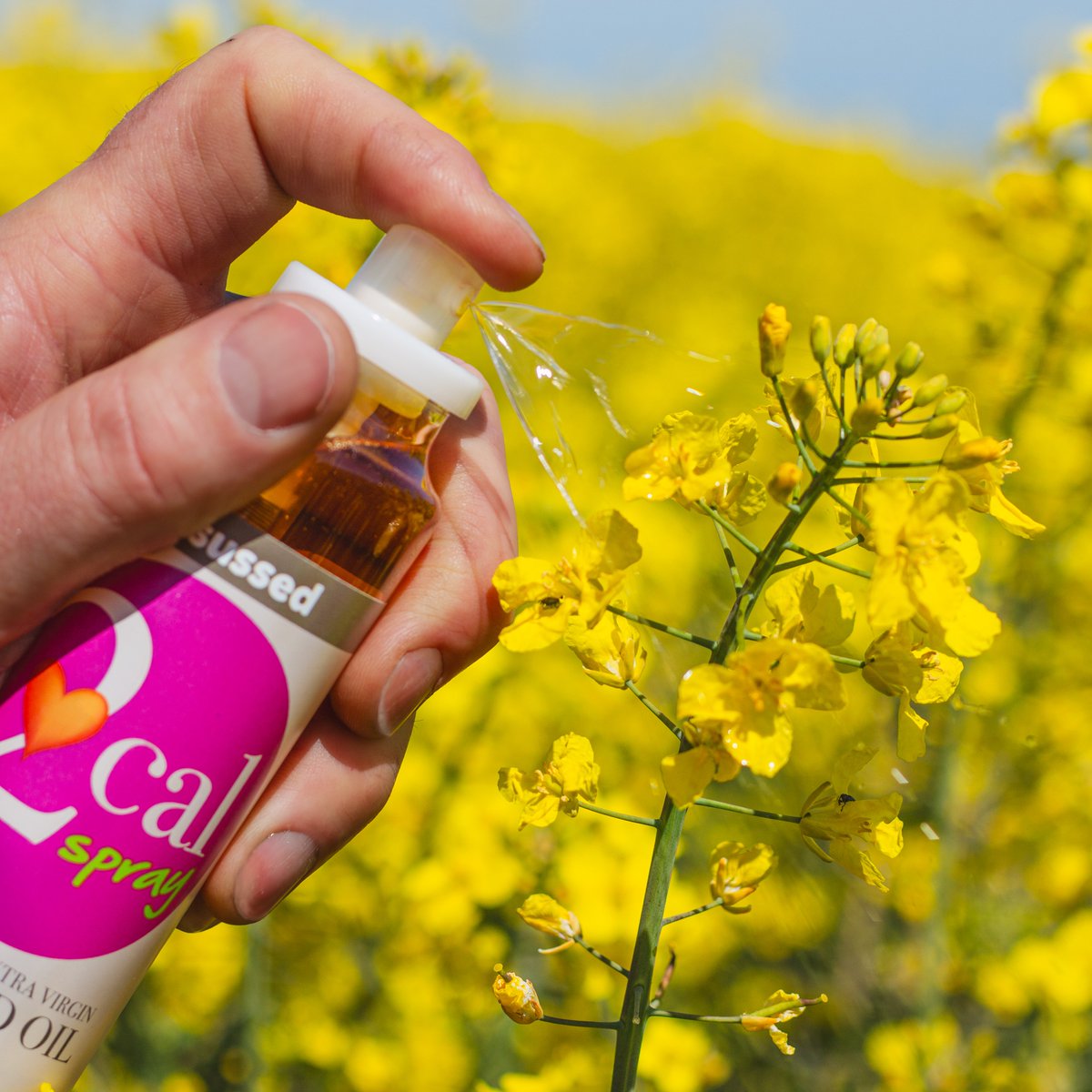 sussed11's tweet image. 2 good calories, 1 quick spray! Now you're #sussed!
Our #2Cal #RapeseedOil #Spray has just two good calories per spray so is ideal as part of a calorie-controlled diet. It's also 100% natural! 
So start getting those good sprays into your diet!
More at sussed.ie