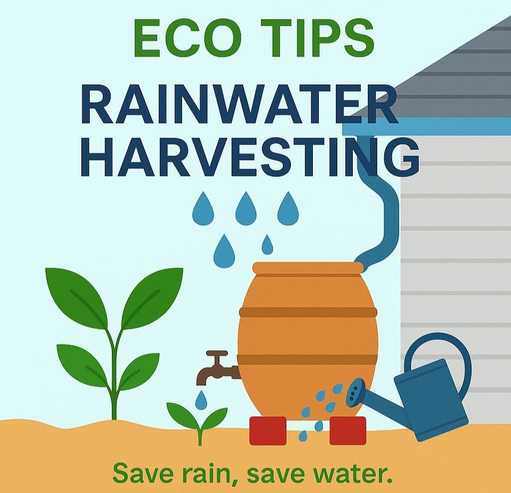 CSTI (@cysusttourism) on Twitter photo 🌿Eco Tips 
🌧️💧 Don’t let the rain go to waste!
Harvesting rainwater is a simple yet powerful way to conserve resources, cut costs & build a greener future. 🌍🌱 Every drop you save today secures tomorrow’s sustainability. 
#RainwaterHarvesting #SustainableLiving #EcoFriendly 🌿Eco Tips 
🌧️💧 Don’t let the rain go to waste!
Harvesting rainwater is a simple yet powerful way to conserve resources, cut costs & build a greener future. 🌍🌱 Every drop you save today secures tomorrow’s sustainability. 
#RainwaterHarvesting #SustainableLiving #EcoFriendly