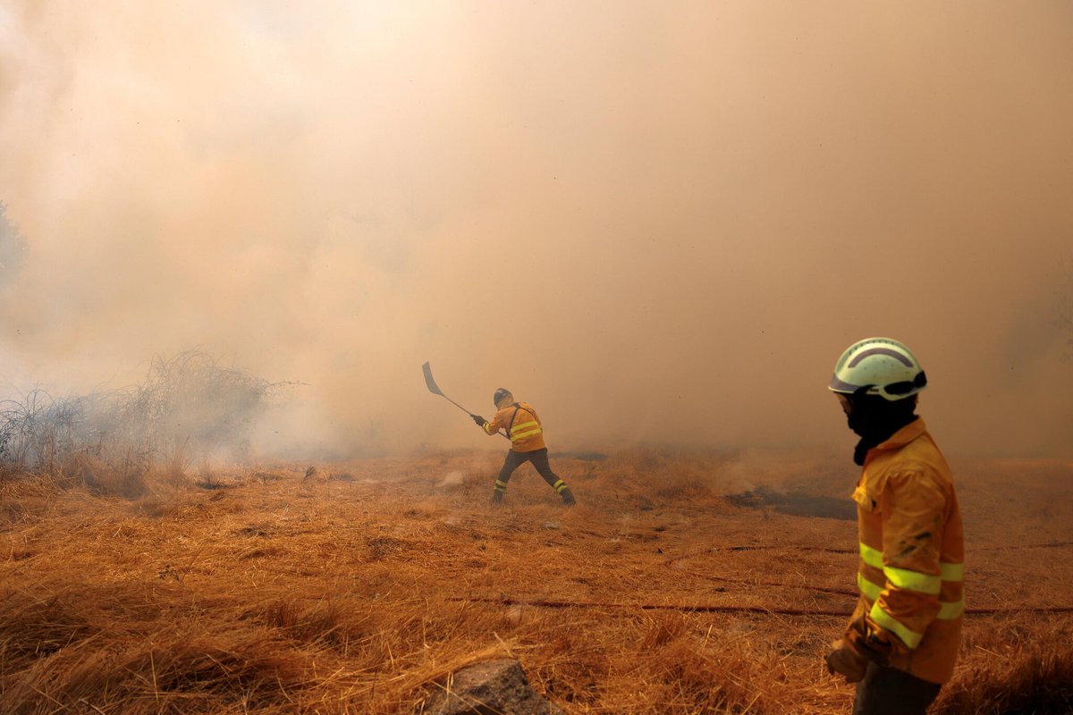Les feux dans la péninsule ibétique continuent de tuer. 

Deux nouveaux soldats du feu sont morts en Espagne et au Potugal suite aux incendies qui frappent la région depuis plusieurs jours, soit 6 au total 

➡️ l.leparisien.fr/3dWG