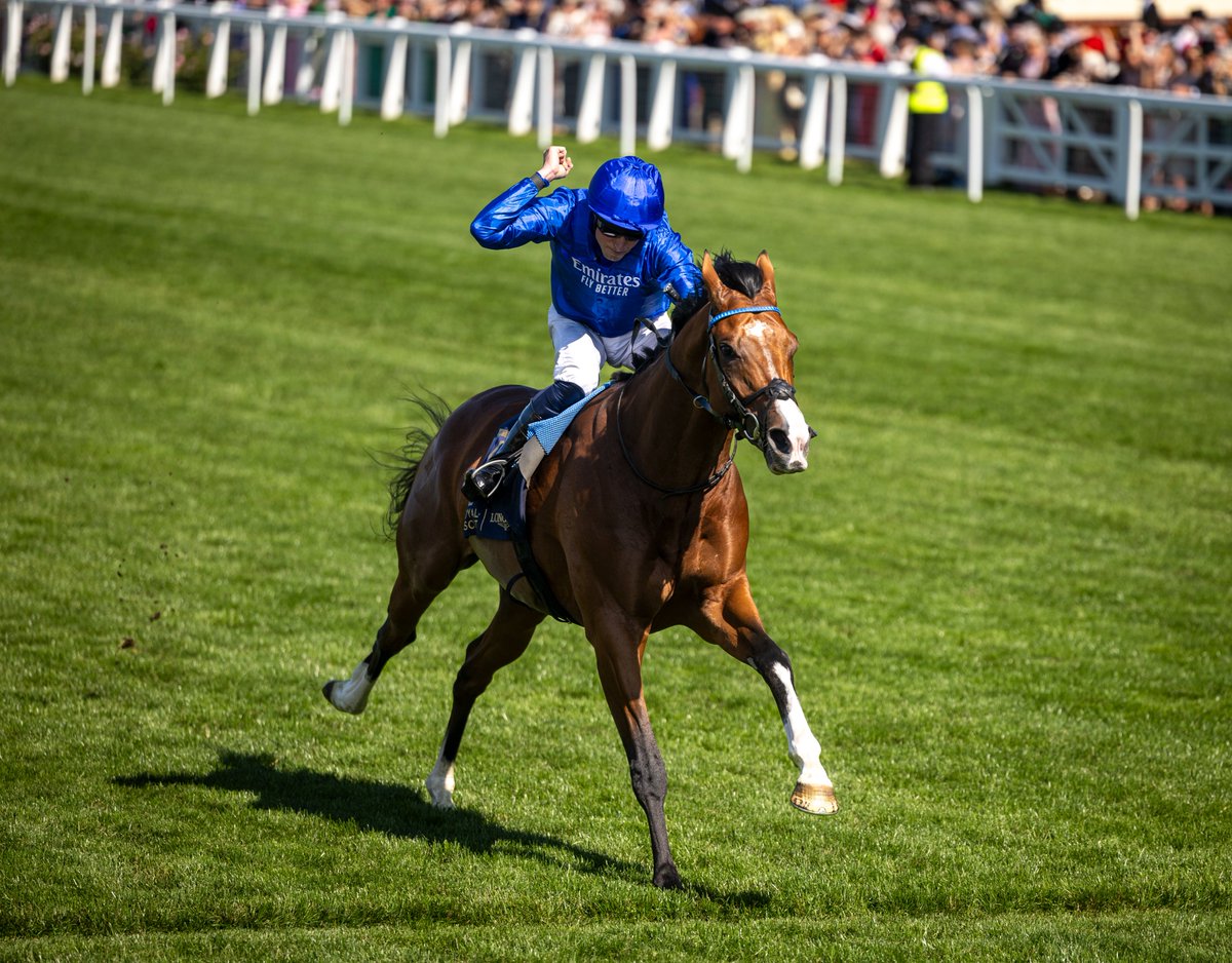 RacingPost's tweet image. 🚨 Juddmonte International confirmed field:
Birr Castle | Robert Havlin
Danon Decile | Keita Tosaki
Ombudsman | William Buick
See The Fire | Oisin Murphy
Daryz | Mickael Barzalona
Delacroix | Ryan Moore