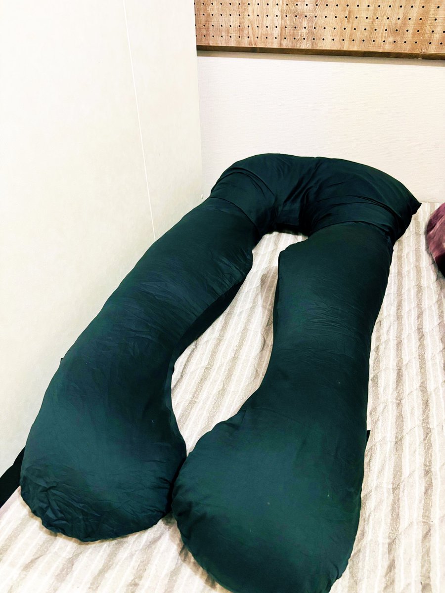 でっかい抱き枕買いました
滅茶苦茶寝れます