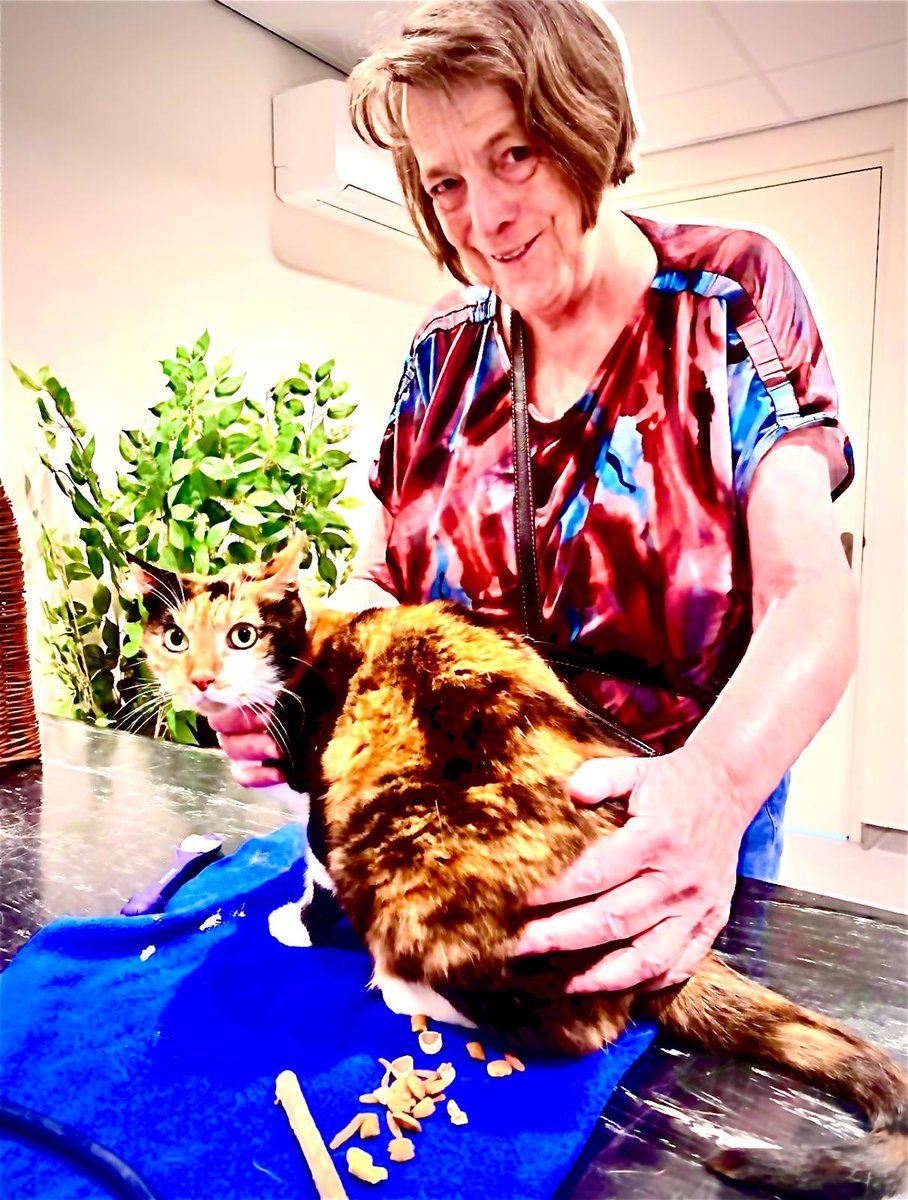 Mae was vanochtend voor controle bij de dierenarts . En de arts is tevreden en Mae nu ook.