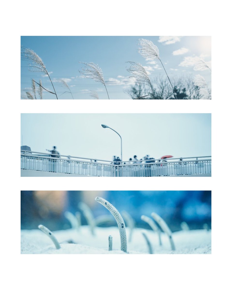 Q (@q_photograph) on Twitter photo 