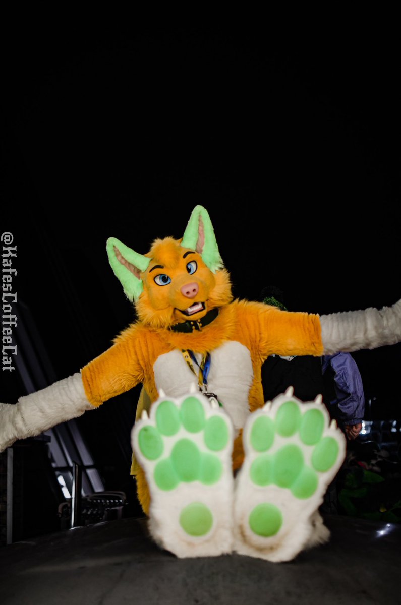 Isn’t #Pawgust the best month ever? 

💚💚

🪡 <a href="/RandDfursuits/">R&Dfursuits 🏳️‍🌈✨Closed✨</a> 
📸 Kafés

#furry
