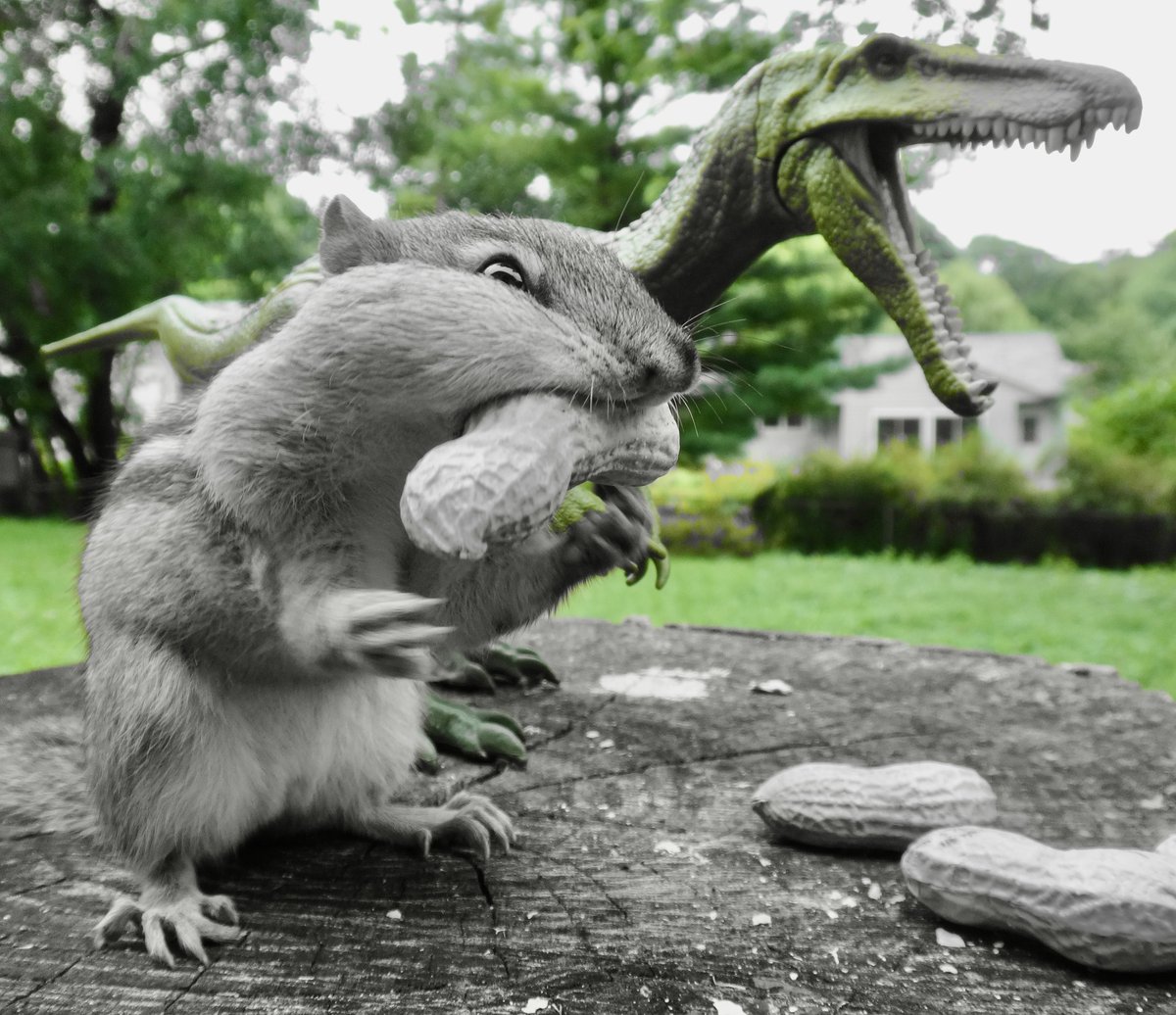 Rawr. Good Monday Morning! #MondayMorning #rawr #chipmunk