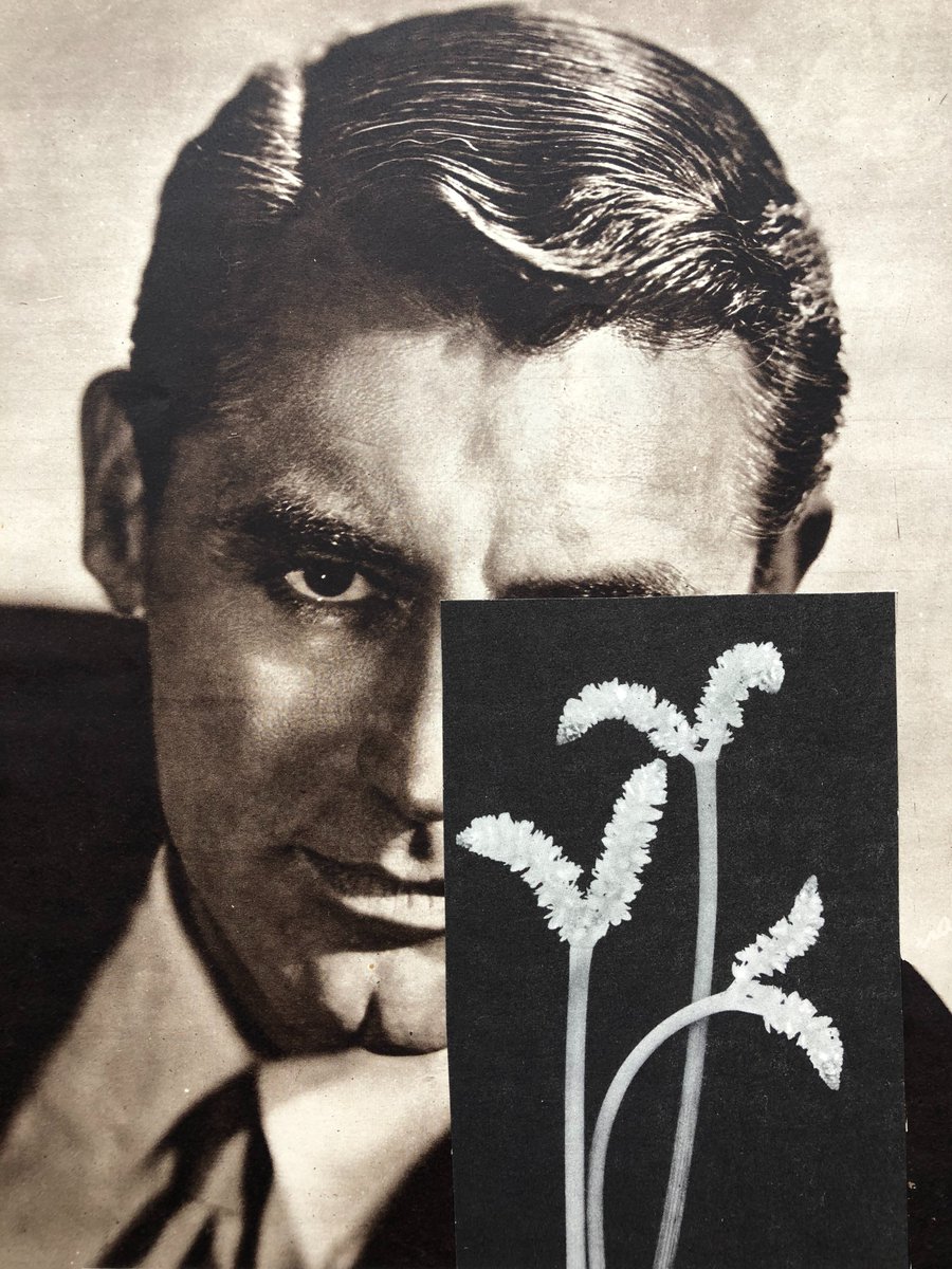 Michelle Thompson 💎🟥 tweet media