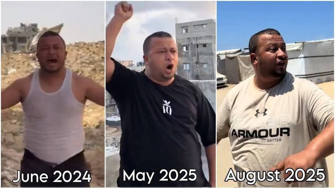 Dear my fellow Jews (If you’re not Jewish, keep scrolling.)

No matter how much truth we speak, they won’t believe us. This is a sad conclusion I have reached as of late, and I think we need to start taking it into account.

They won’t believe you when you say that: 

1- There is