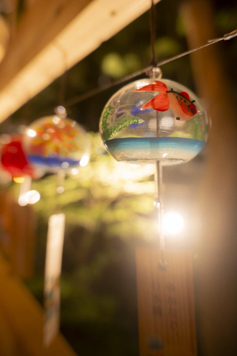 お久しぶりです🙏
夏休み如何でしたでしょうか？
本日からまた皆さんの写真拝見しに伺いたいと思います😌