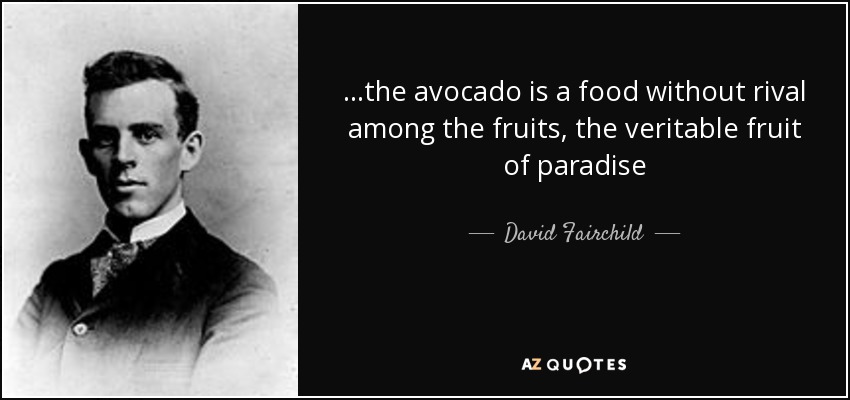 AvokadLtd's tweet photo. #avokad #hassavocado #avocadooil #avocados https://t.co/rrtLJYrgk4