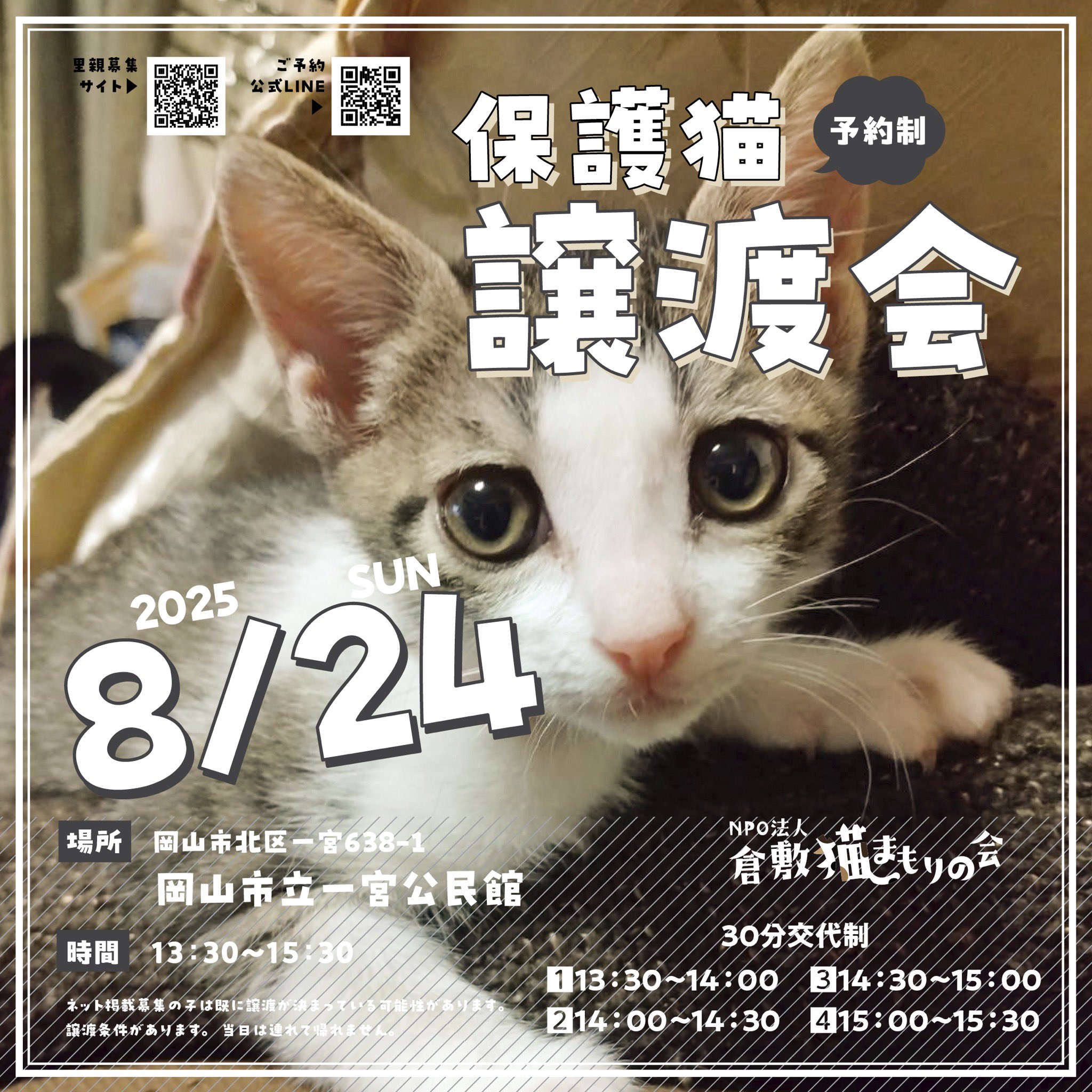 【中古】 福日福猫/幻冬舎/高森共子 中古】 福日福猫 / タカモリ・トモコ、高森 共子 / 幻冬舎