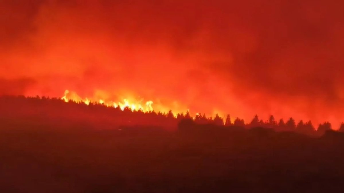 ￼
￼
 🔥URGENTE 🔥
El Valle de Valdeón y los Picos de Europa están en #peligro.
El #fuego se expande y necesitamos ayuda profesional inmediata.
￼
 Necesitamos efectivos profesionales YA.
￼
📸Imagen de los servicios informativos de telecinco.

 #sosincendios #picosdeeuropa