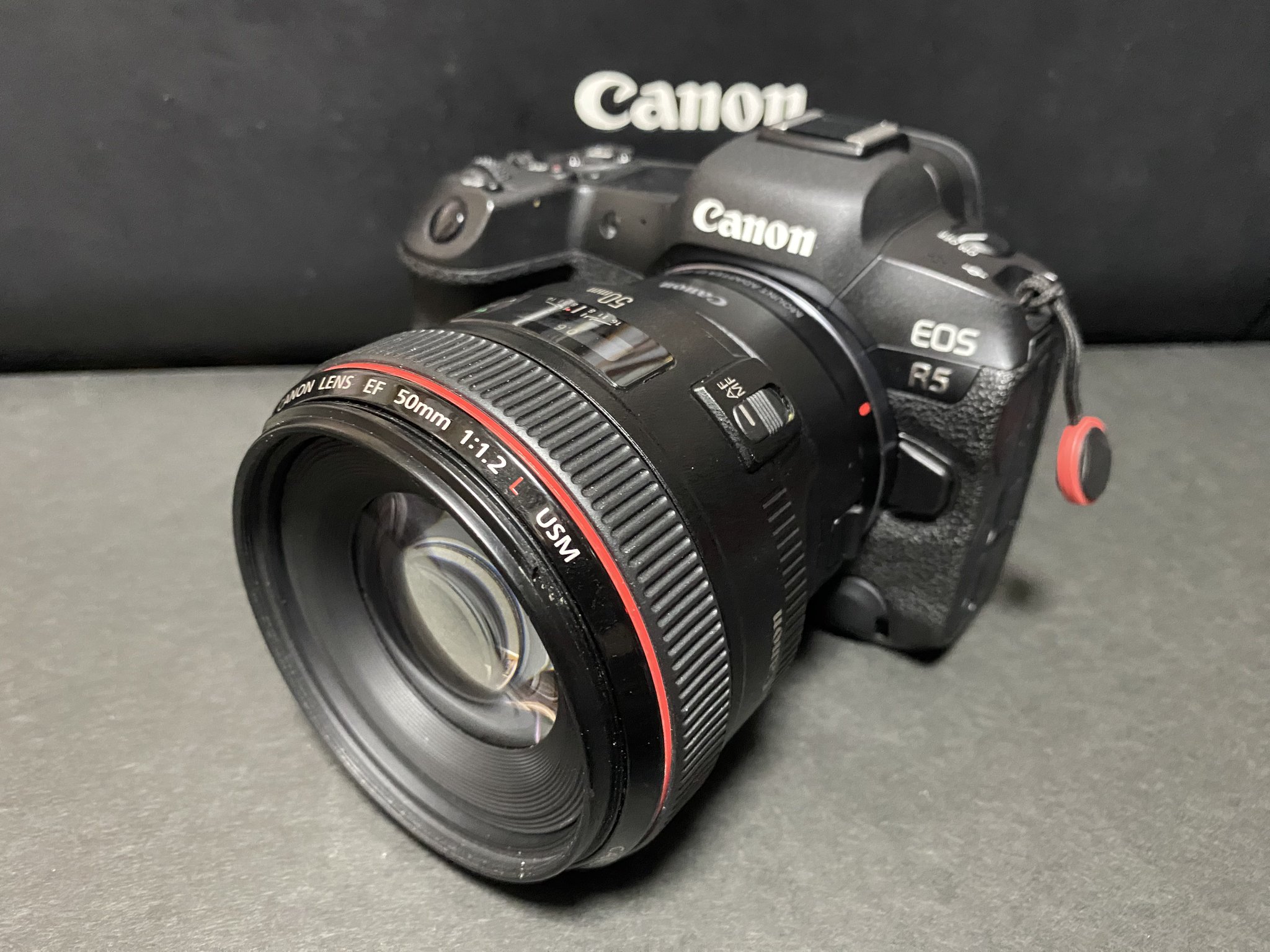 動作品・実写確認済 Canon EOS 5 QD＋EF 50mm f1.8Ⅱ 動作品・実写確認済 Canon EOS 5 QD＋EF 50mm f1.8Ⅱ EF50mm F1