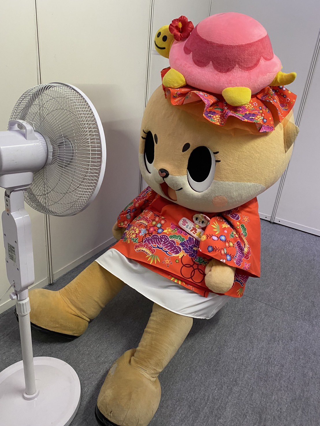☆ちーたん☆ Chiitan：ちぃたん☆ (@chiitan7407) • Instagram photos and videos