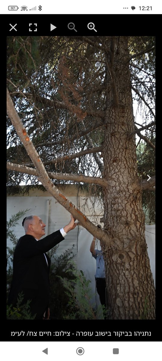 נשבע שהבוק בר מצווה שלי היה נראה ככה, והוא התקיים בעפרה